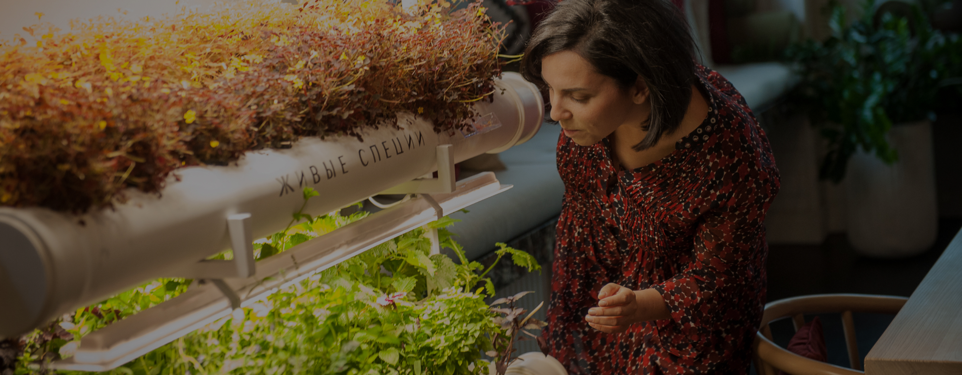 Профессиональное поварское образование за 2 месяца