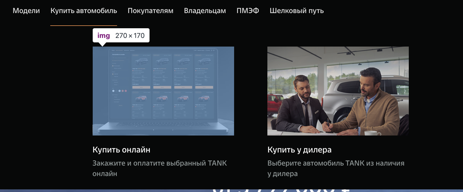 Джанузакова Сатуня (Москва)