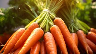 Океан на тарелке: от хрустящих креветок до нежного лосося