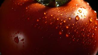 Кухни волшебных миров Disney. Холодное сердце. 10-14 лет